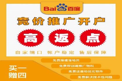 SEM推广策略：成功案例解析